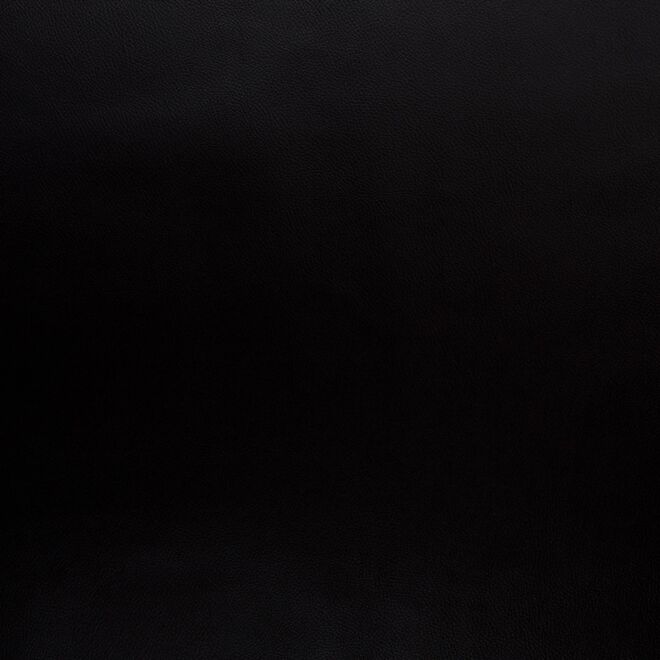 Vorbestellung Kunstleder Rex-metallic schwarz