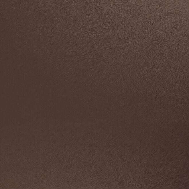 Vorbestellung Kunstleder Rex-metallic schlamm