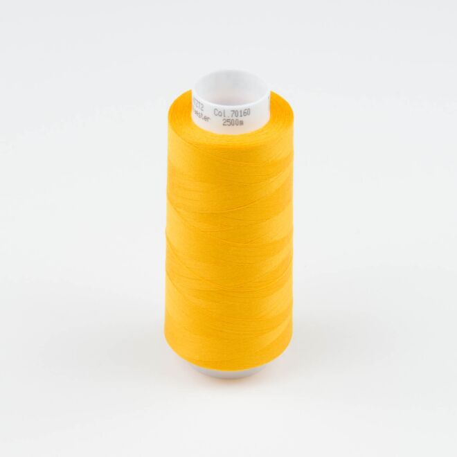 Amann-Mettler Trojalock Overlockgarn No. 120, 2500m - Farbe: 70160