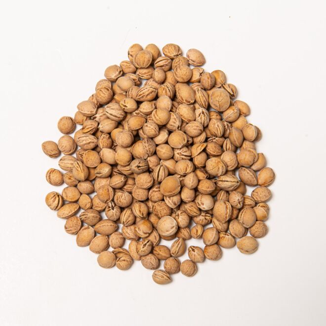 Stoffschwester Kirschkerne 500g