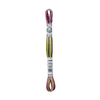 DMC Moulinégarn Coloris - 4509 (Art. 517)