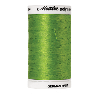 Poly Sheen, 800m - Erin Green FNr. 5912