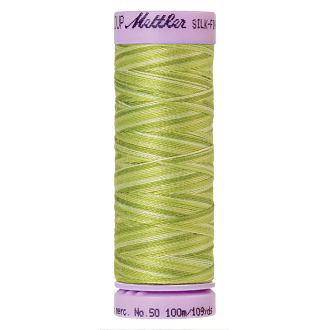 Silk-Finish Multi 50, 100m - Little Spouts  FNr. 9817