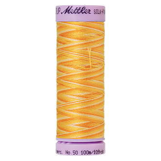 Silk-Finish Multi 50, 100m - Horizon  FNr. 9827